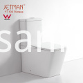 Toilette à double chasse d'eau sans rebord Watermark Watermark Rimless Dual Flushing Toilet